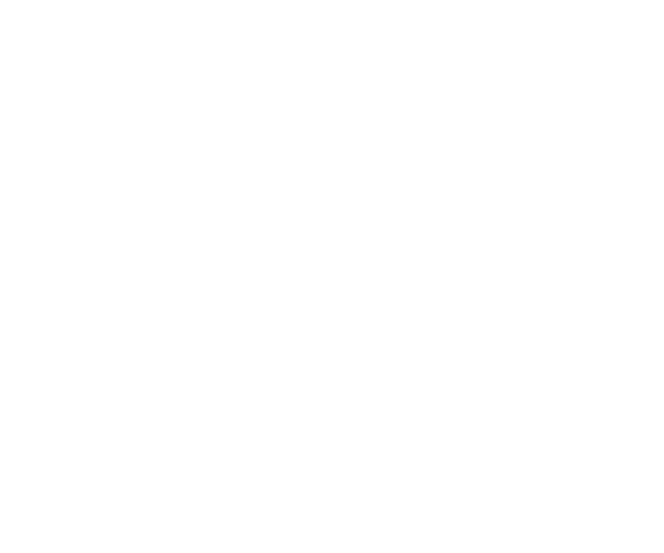 Avilia Group Srl
